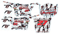 Polaris RZR XP 900 Graphic Kit - Hess Motorsports Custom Kit